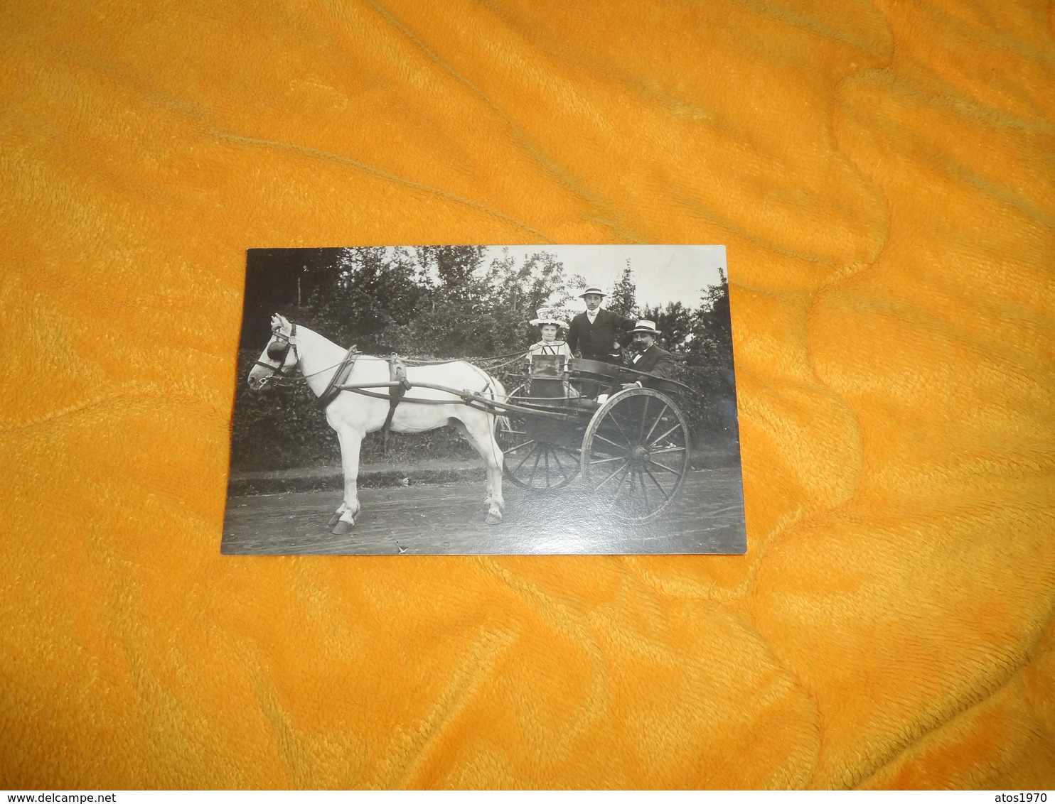 CARTE POSTALE PHOTO ANCIENNE NON CIRCULEE DATE ?.../ CHEVAL CHARETTE PROMENADE ?... - Altri & Non Classificati