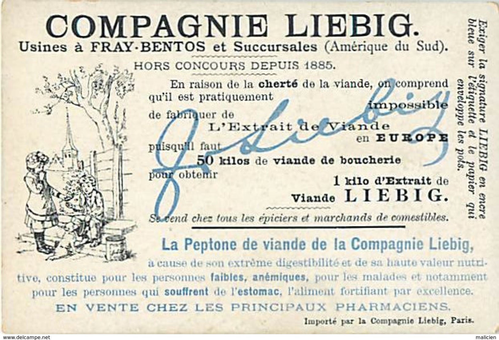 - Chromos -ref-chA563- Liebig - Au Fond De La Mer - Anémone De Mer - Hydne Coralloïde - - Liebig