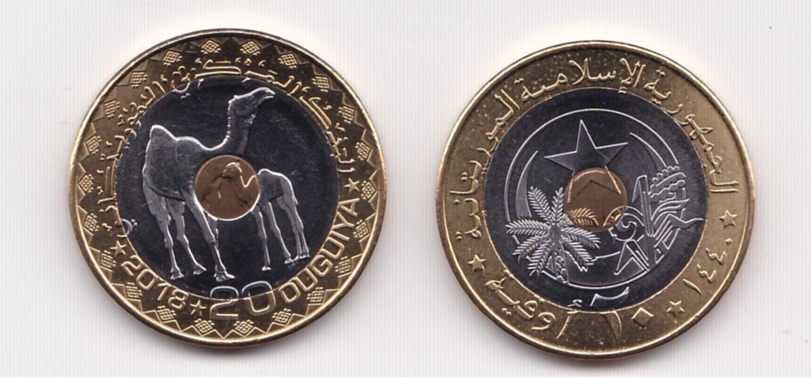 Mauritania 20 Ouguiya 2018 UNC - Mauritanië