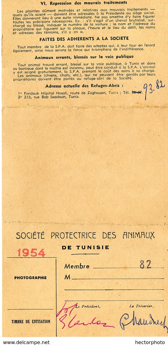 CARTE SPA De Tunisie Animaux 1954 - Documents Historiques