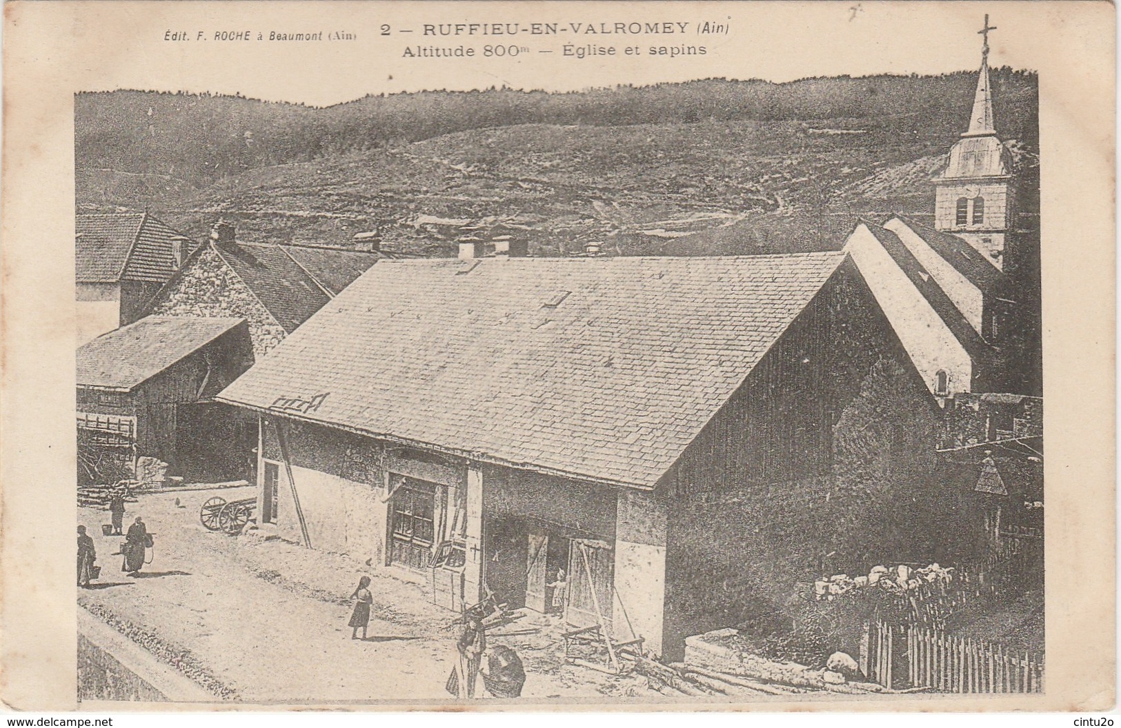 Ain . Ruffieu-en-Valromey . Eglise Et Sapins . - Non Classés