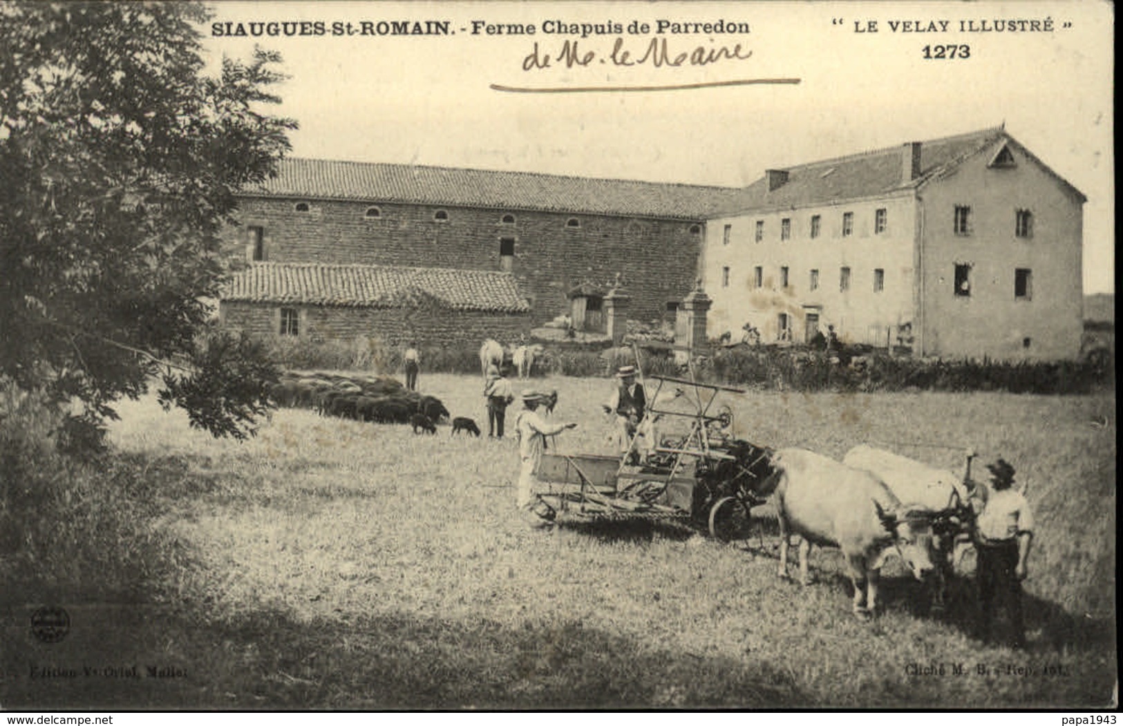 43  SIAUGUES SAINT ROMAIN  Ferme Chapuis De Parredon - Autres & Non Classés