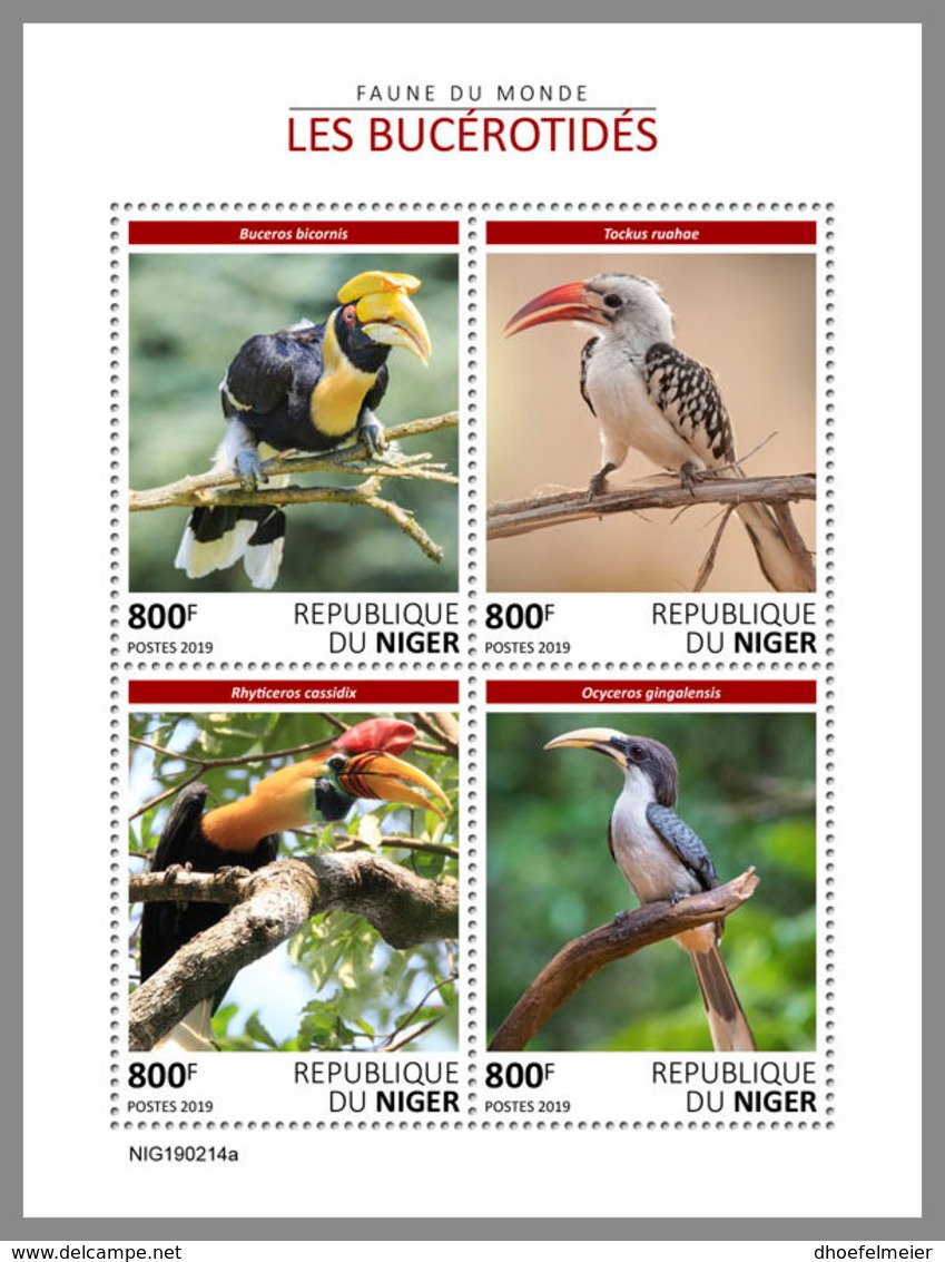 NIGER 2019 MNH Hornbills Nashornvögel Calaos M/S - OFFICIAL ISSUE - DH1923 - Other & Unclassified