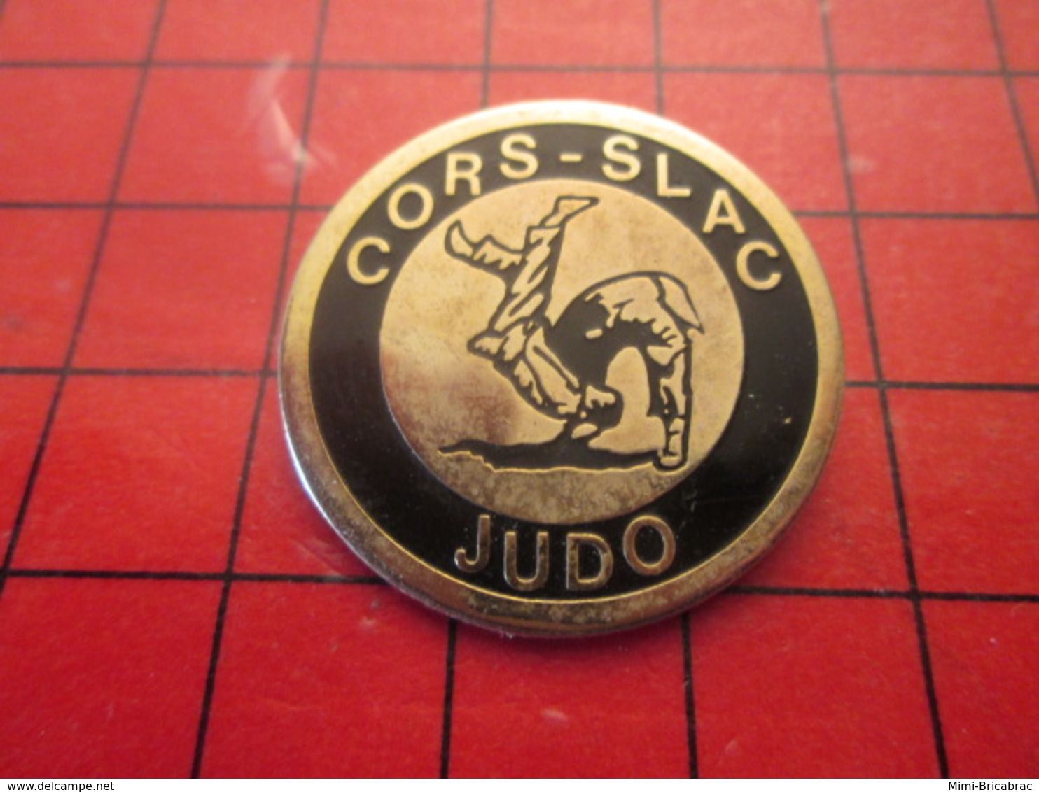 918b Pins Pin's / Rare & TB état / THEME SPORTS : CORS SLAC JUDO CLUB - Judo