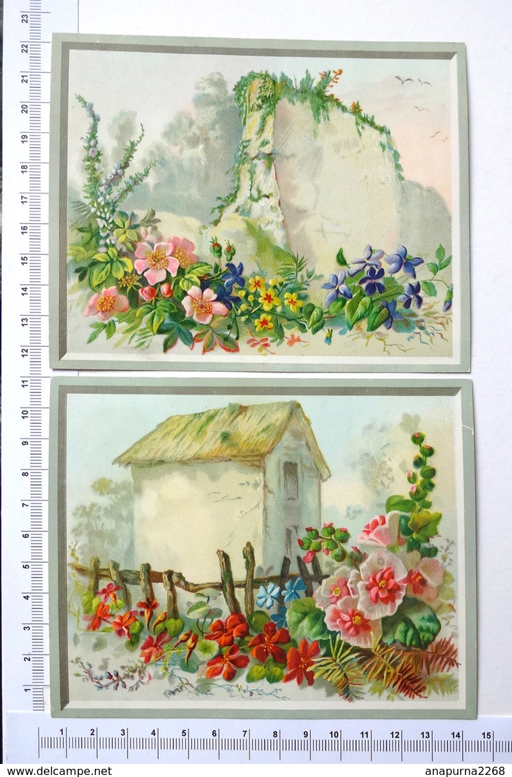 2 CHROMOS LITHOGRAPHIES...11 / 14 Cm.....PAYSAGE DE CAMPAGNE...FLEURS EN RELIEF - Autres & Non Classés