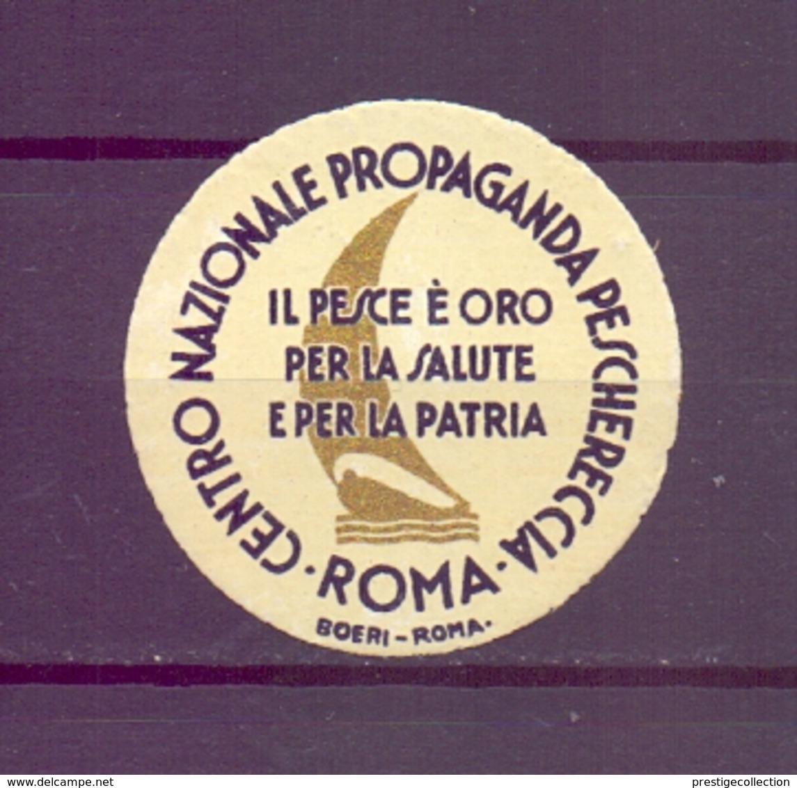 CINDERELLA  ERINOFILO PROPAGANDA PESCHERECCIA ROMA   (GIUGN1900B107) - Erinnofilia