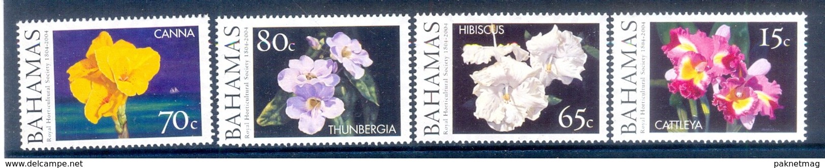 D38- Bahamas 2004. Flowers. - Bahamas (1973-...)