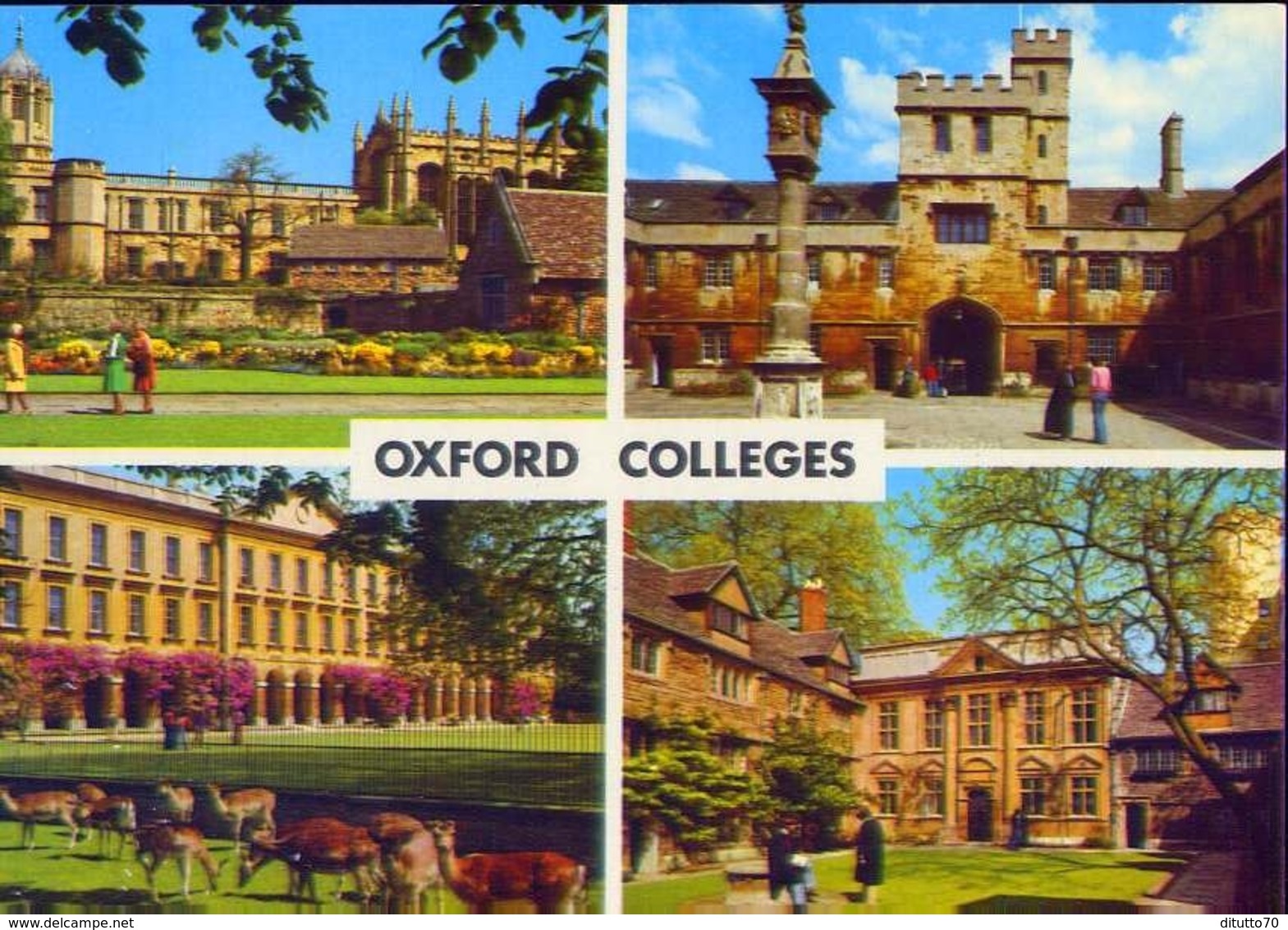 Oxford - Colleges - Formato Grande Non Viaggiata – E 12 - Altri & Non Classificati