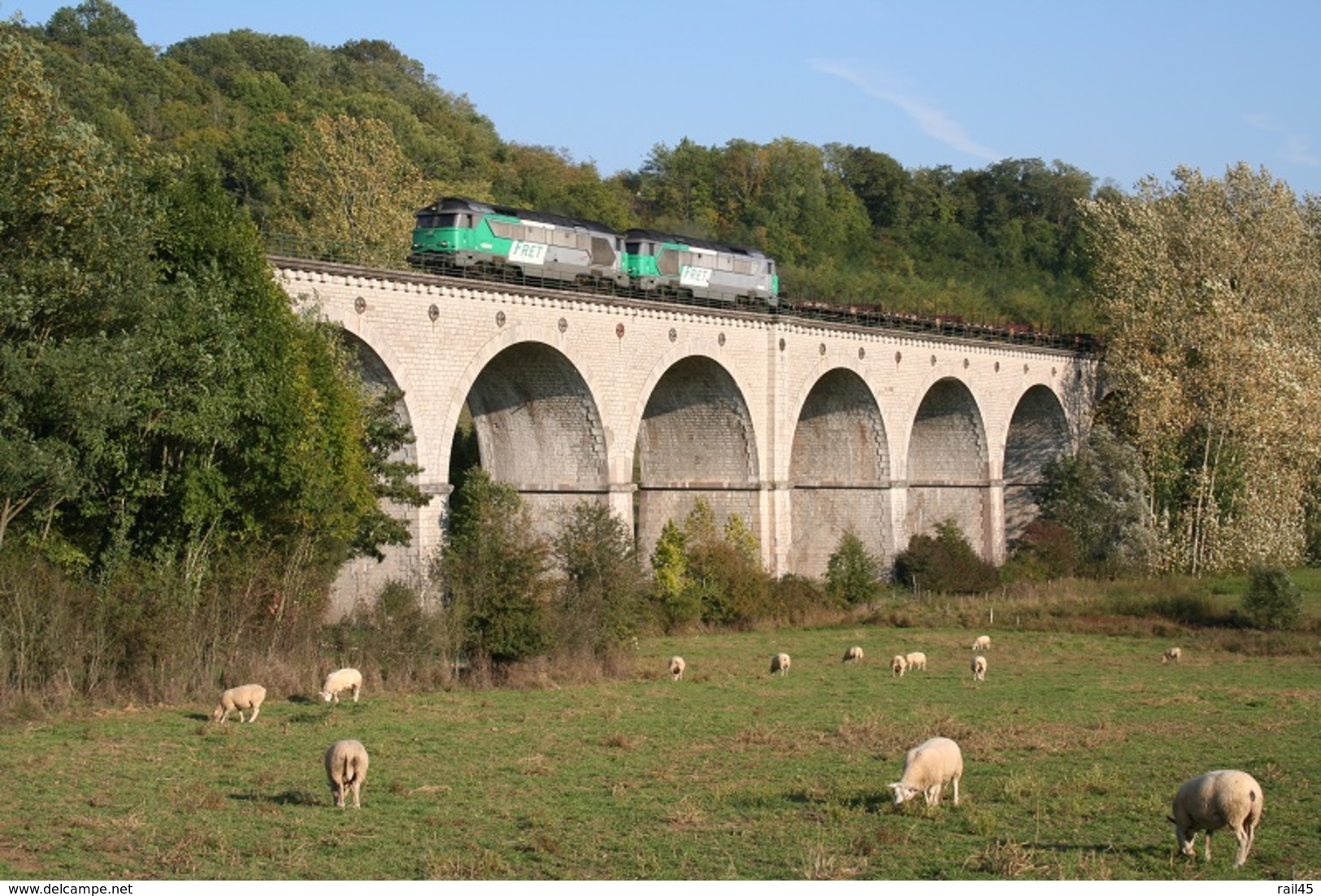 Haute-Amance. Locomotives A1A-A1A Série 68000 Ou 68500. Cliché Pierre Bazin. 11-10-2005 - Trains