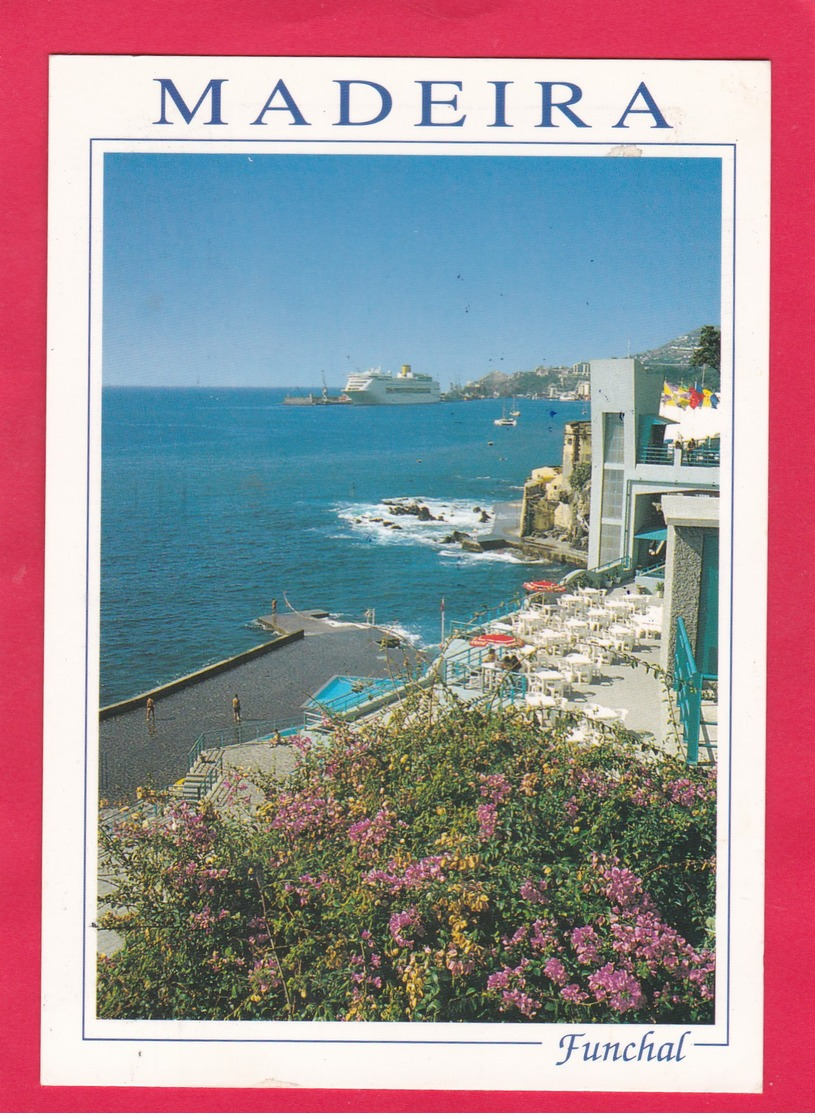 Modern Post Card Of Funchal,Madeira,Portugal,L55. - Madeira