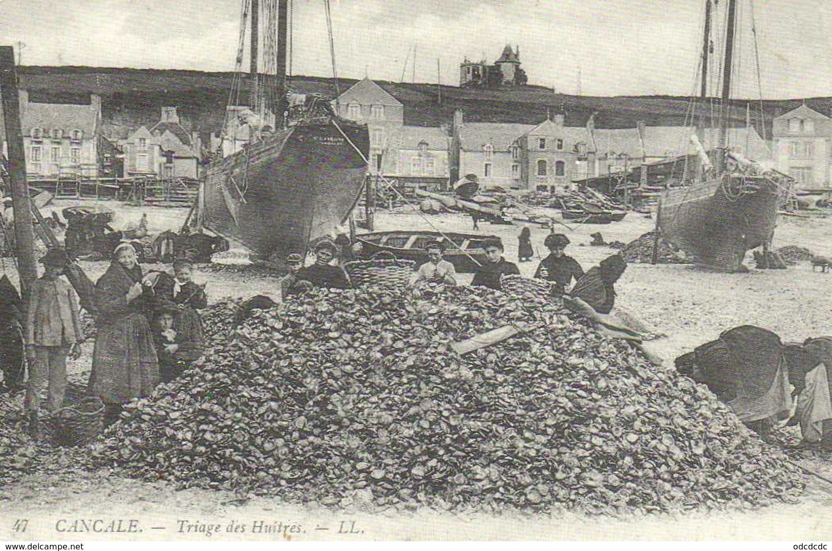 CANCALE  Triage Des Huitres RV - Cancale