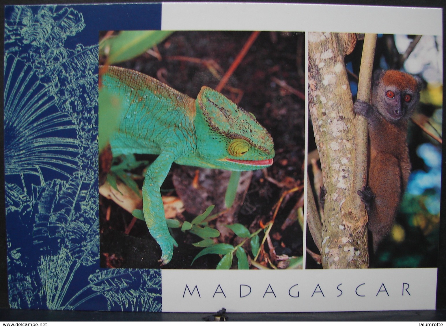 CP. 2677. Madagascar. Caméléon Et Lémurien - Madagascar