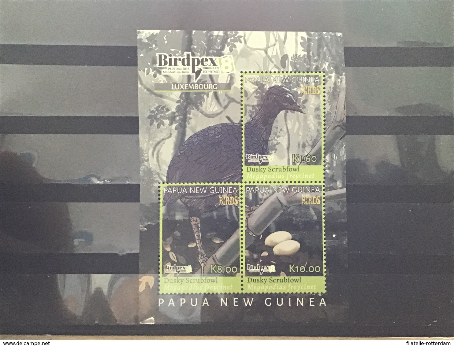 Papoea-Nieuw-Guinea / Papua New Guinea - Postfris / MNH - Sheet Bijzondere Vogels 2018 - Papoea-Nieuw-Guinea