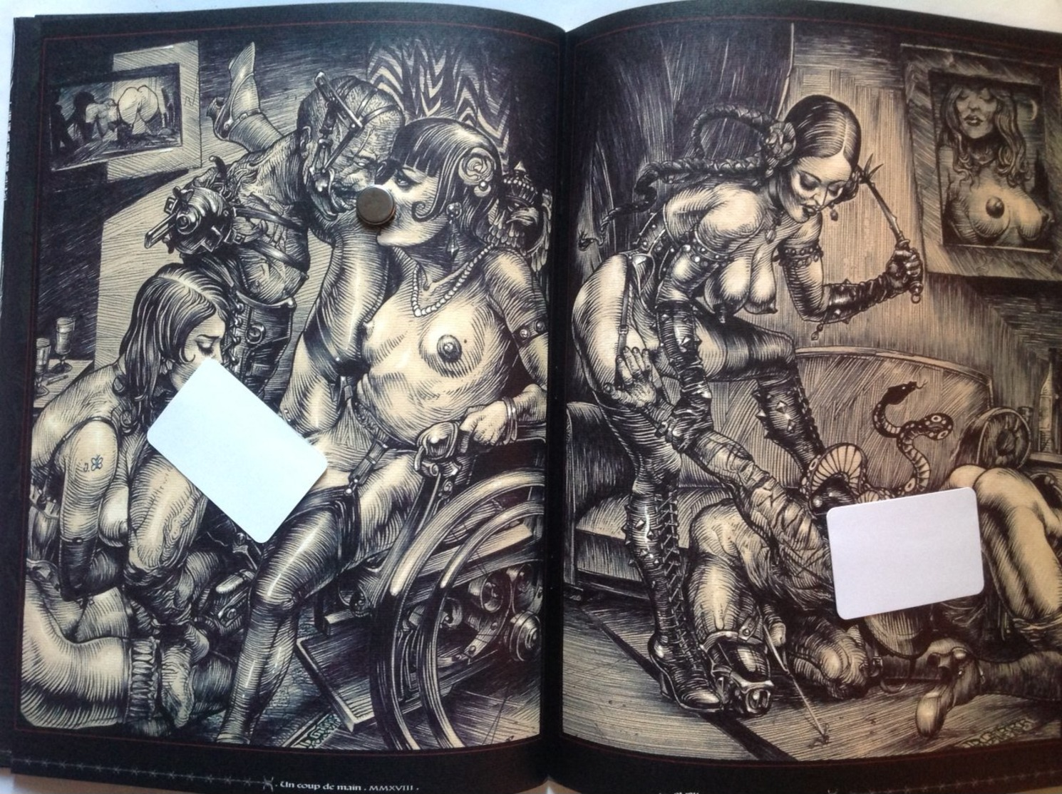 No PAYPAL !! Denis GRRR Art Book CHAIR DE FER illustration 14 18 ,TL 300 Ex Signé Pin up SM Fouet Dominatrice Trash NEUF