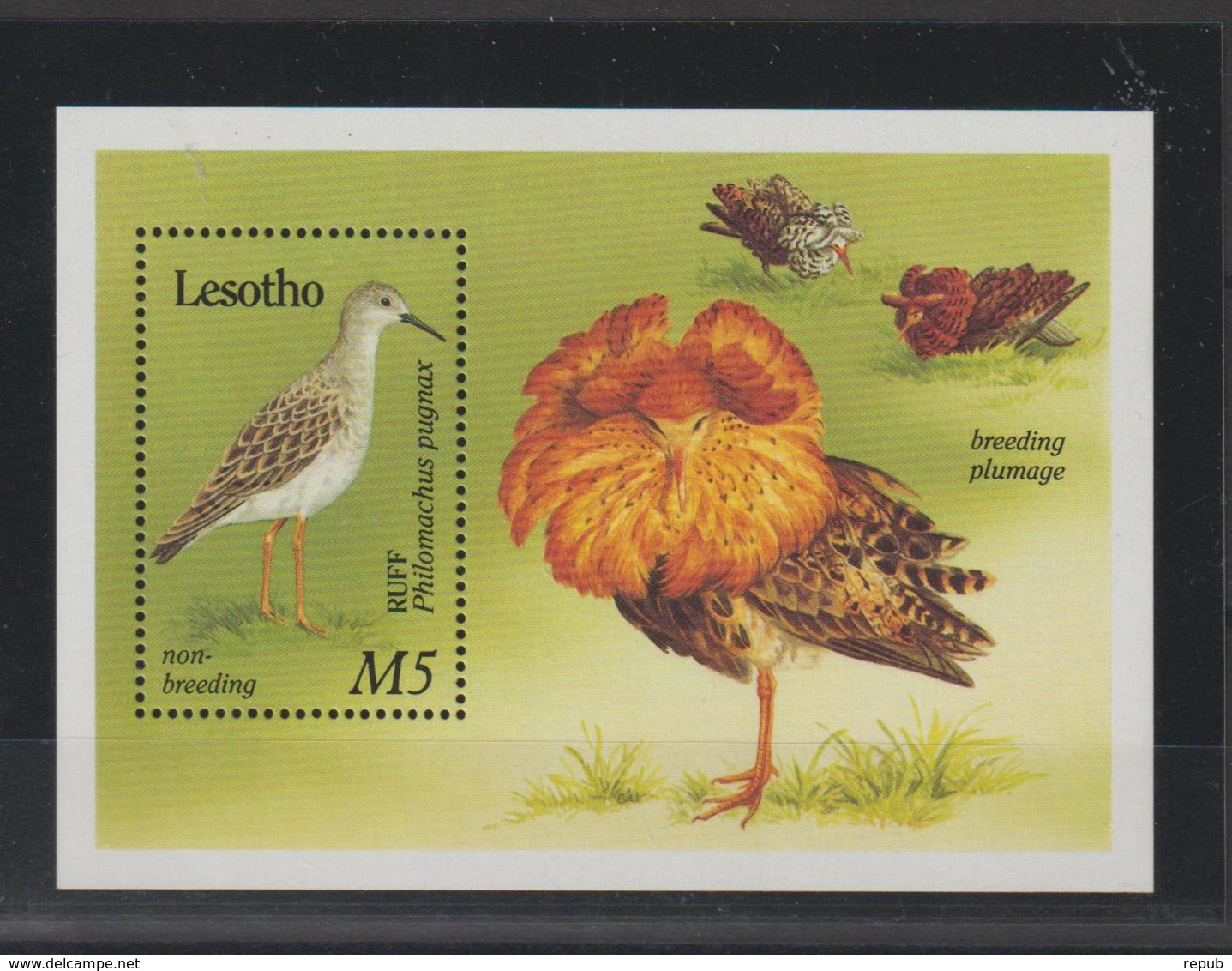 Lesotho 1989 Oiseaux BF 70 ** MNH - Lesotho (1966-...)