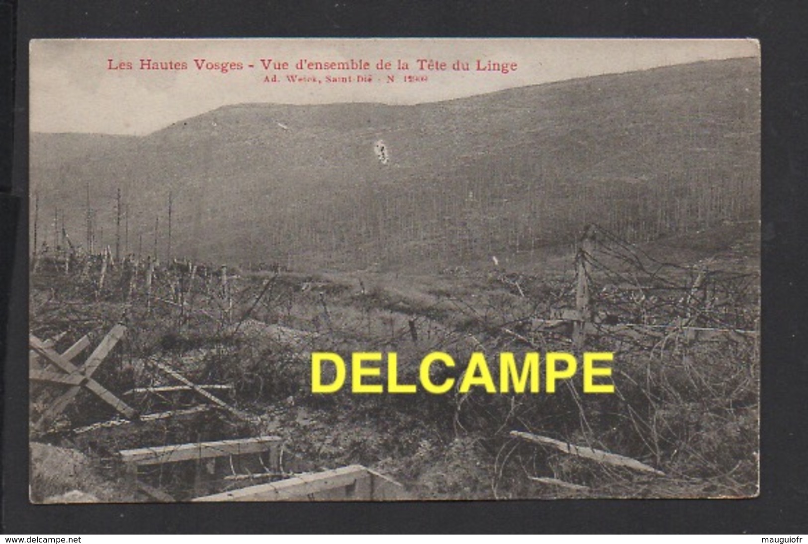 DD / GUERRE 1914 - 18 / HAUTES VOSGES / VUE D' ENSEMBLE DE LA TÊTE DU LINGE - Weltkrieg 1914-18