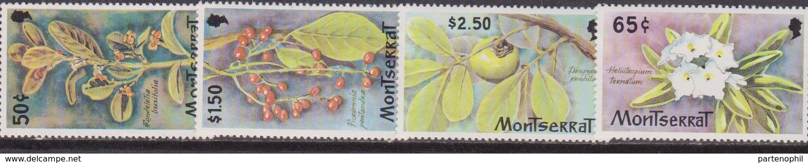 Montserrat 1981 - Fiori Flora Flowers Set MNH - Altri & Non Classificati