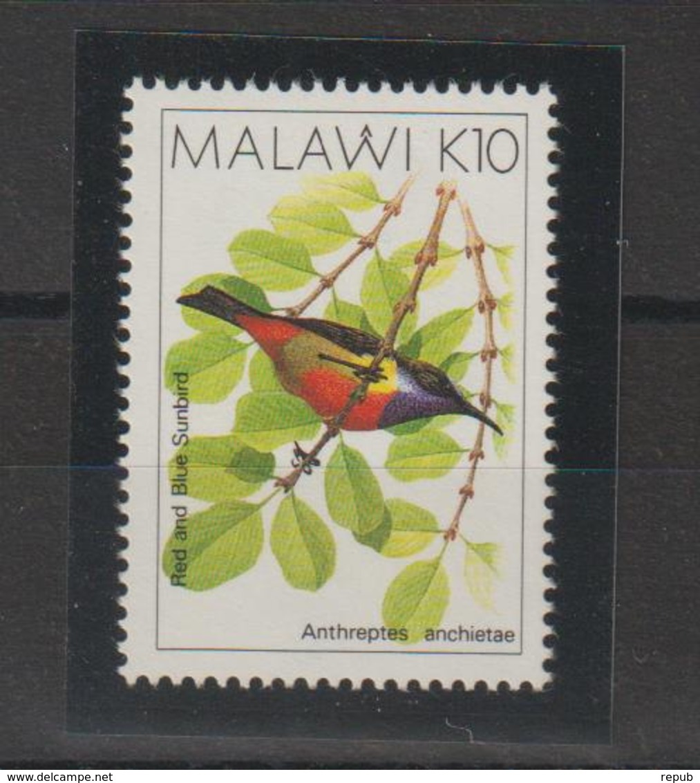 Malawi 1988 Oiseaux Série 528 1 Val ** MNH - Malawi (1964-...)