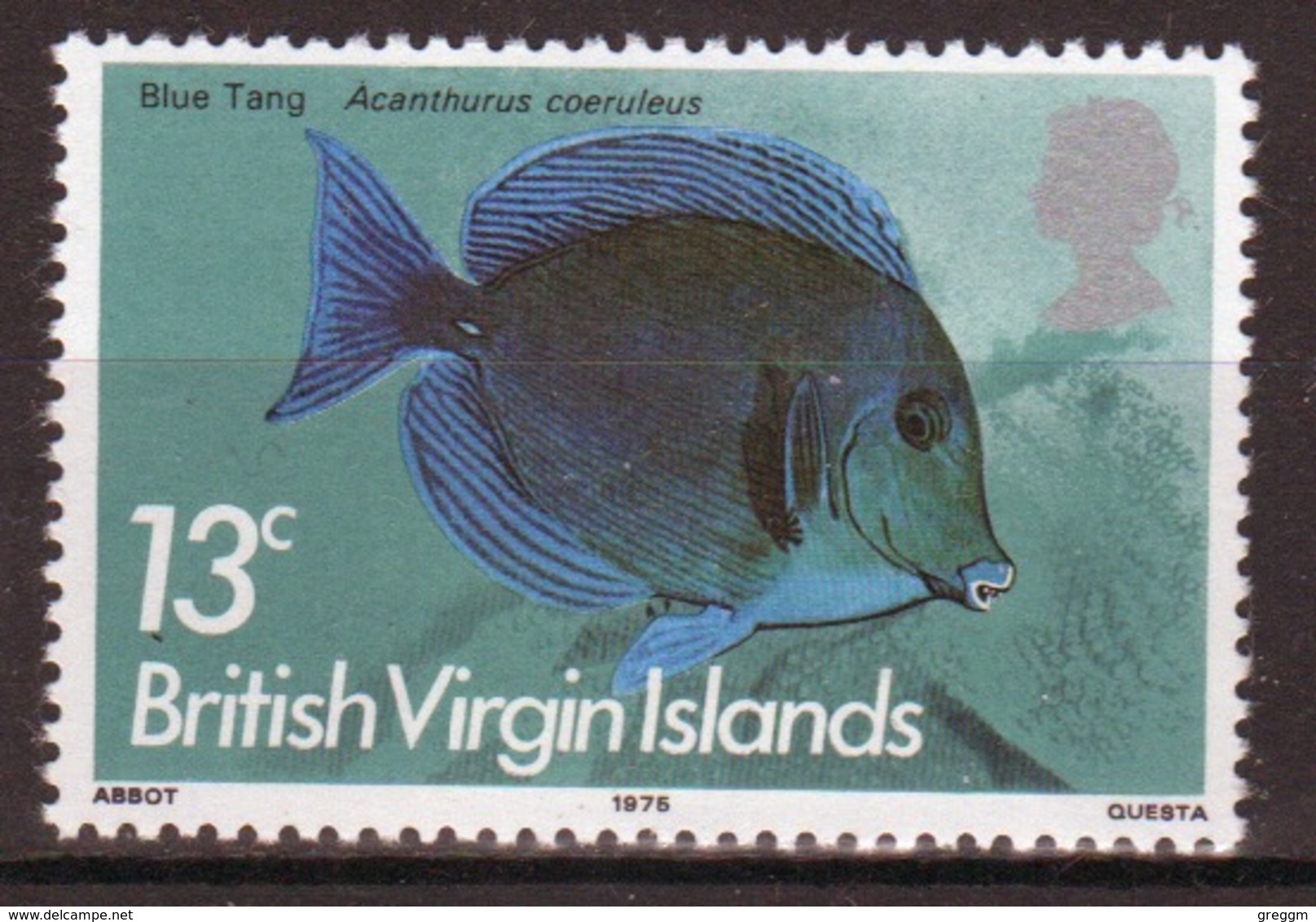 British Virgin Islands 1975 Queen Elizabeth Single 13c Stamp From The 1975 Definitive Fish Set. - British Virgin Islands