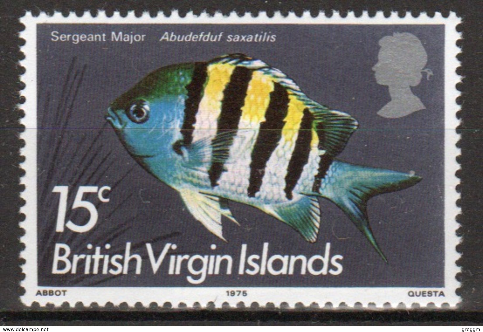 British Virgin Islands 1975 Queen Elizabeth Single 15c Stamp From The 1975 Definitive Fish Set. - British Virgin Islands