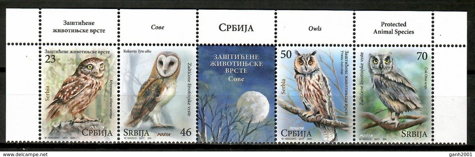 Serbia 2017 / Birds Owls MNH Vögel Aves Oiseaux  / Cu13416  36 - Otros & Sin Clasificación