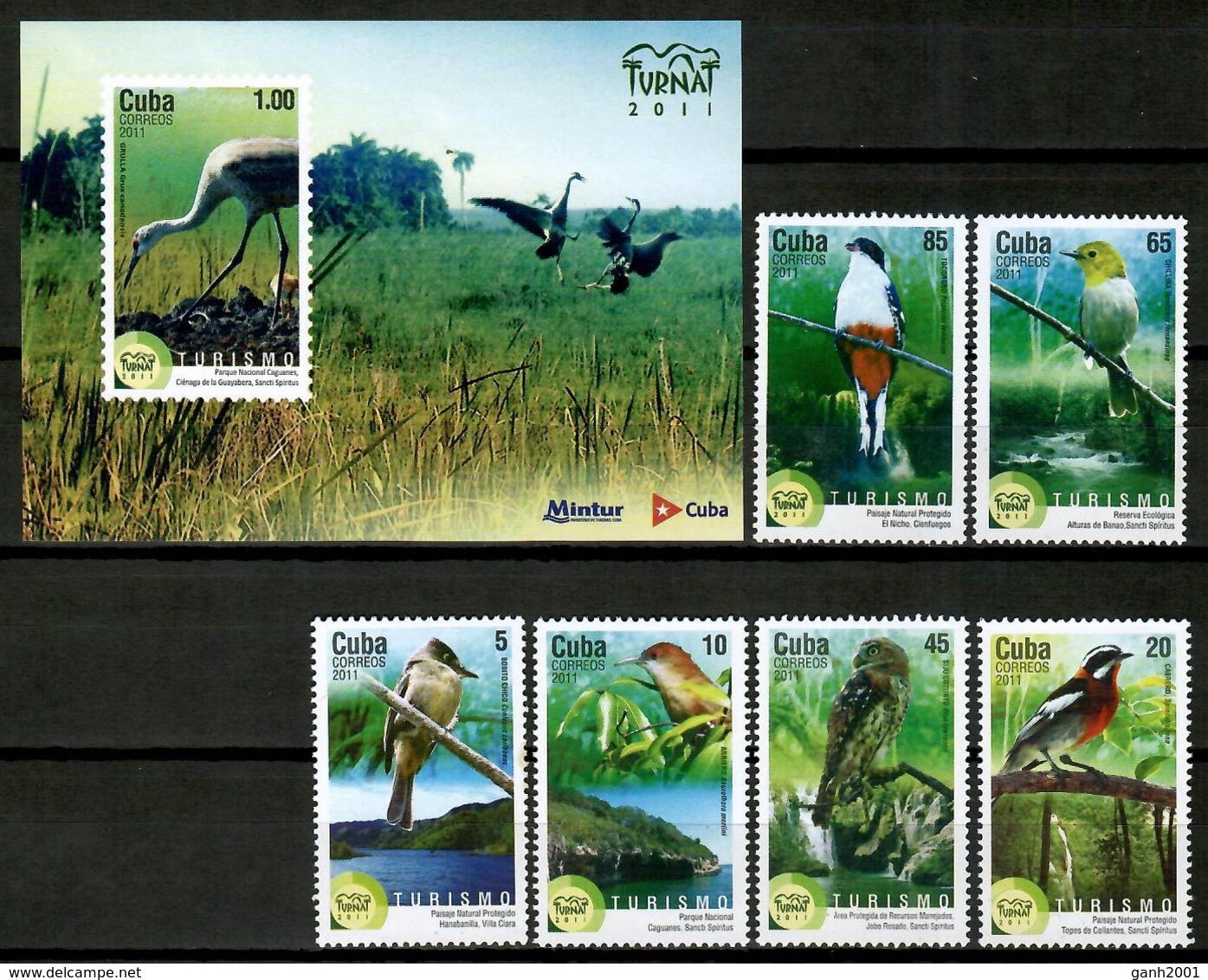 Cuba 2011 / Birds MNH Vögel Aves Oiseaux  / Cu13138  18 - Otros & Sin Clasificación