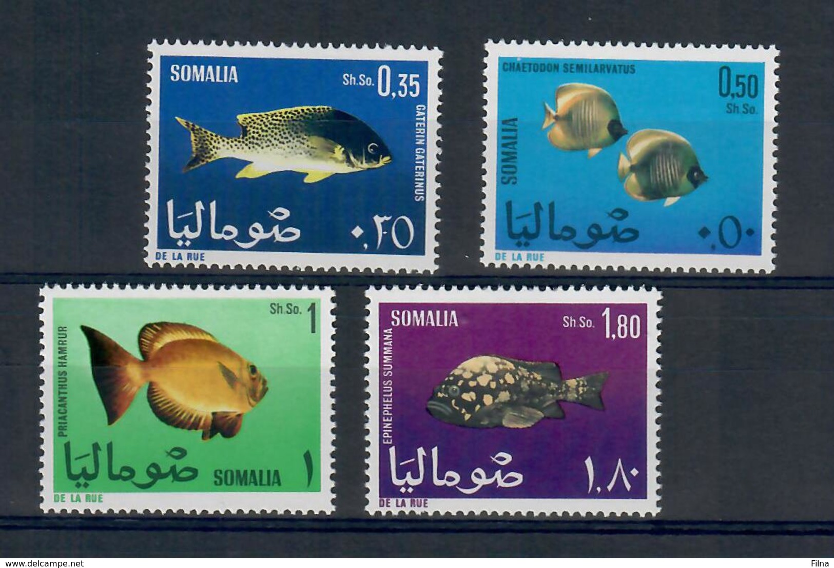 SOMALIA 1966 - FAUNA PESCI  - MNH ** - Somalie (1960-...)