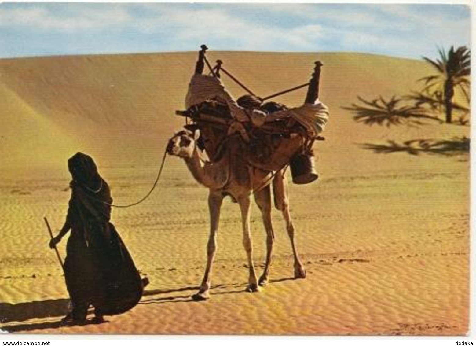 Postcard Net - Mauritania - Camel Driver - No. 4324. Printed In France. - Mauritania