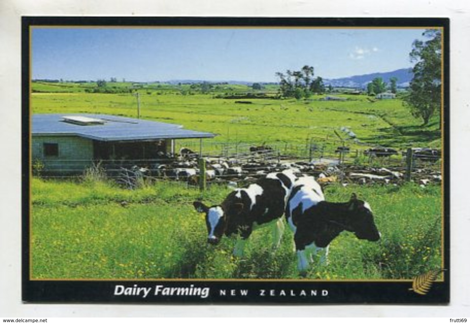 NEW ZEALAND - AK 352308 Dairy Farming - New Zealand