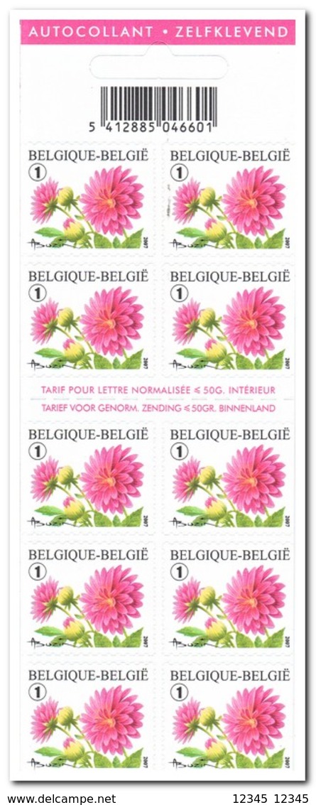 België 2007, Postfris MNH, Flowers ( Booklet, Carnet ) - Ohne Zuordnung