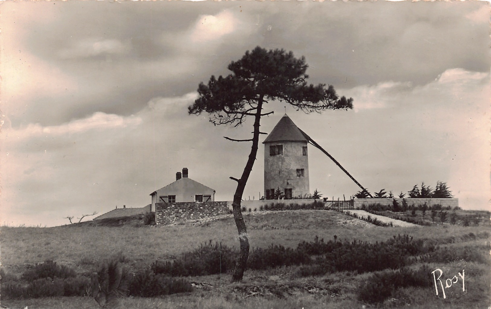 NOIRMOUTIER  - Barbatre -  Moulin A Vent Sur La Dune - Noirmoutier