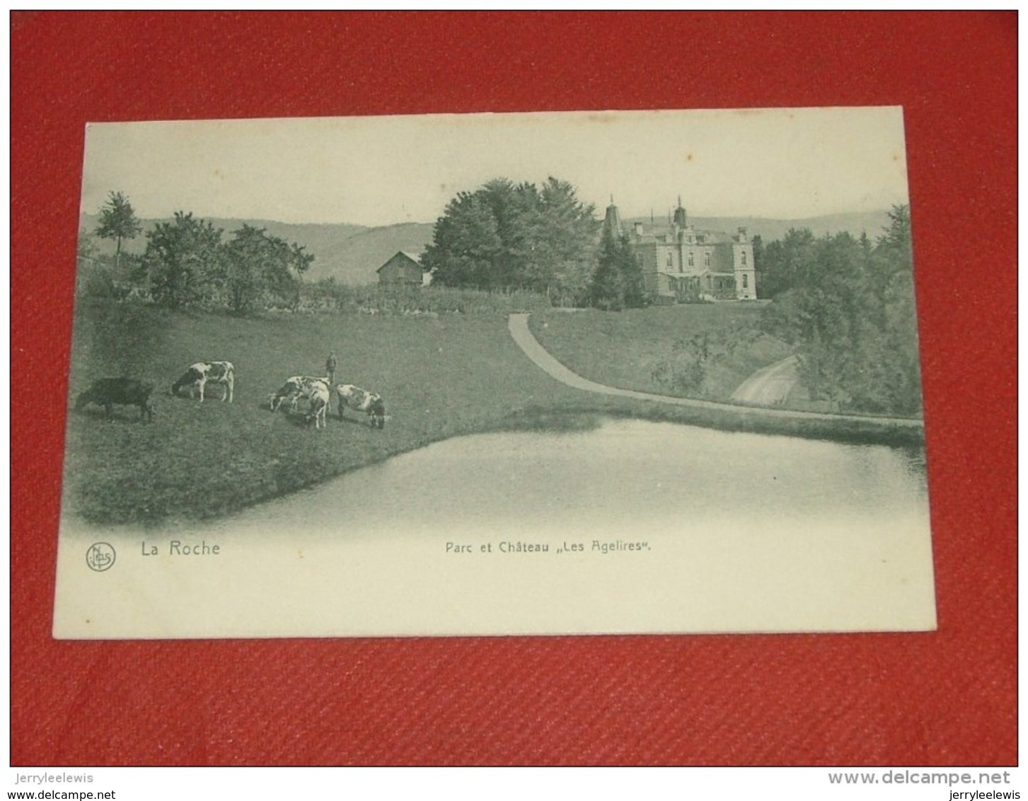 LA ROCHE EN ARDENNE  -  Parc Et Château  " Les Agelires " - La-Roche-en-Ardenne