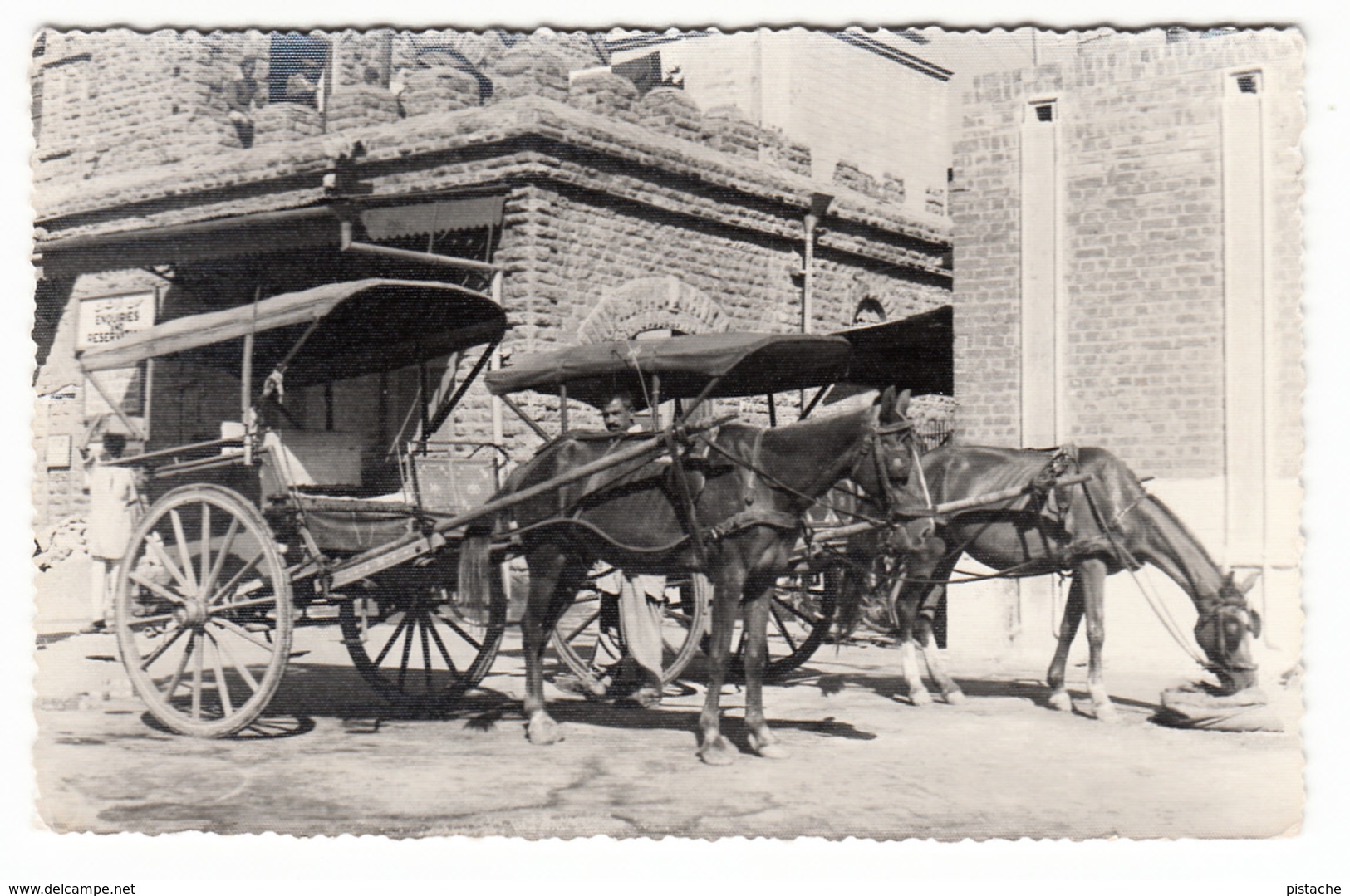 Real Photo - RPPC - The Tongas Rawalpindi Pakistan - Horses - Animation - 2 Scans - Pakistan