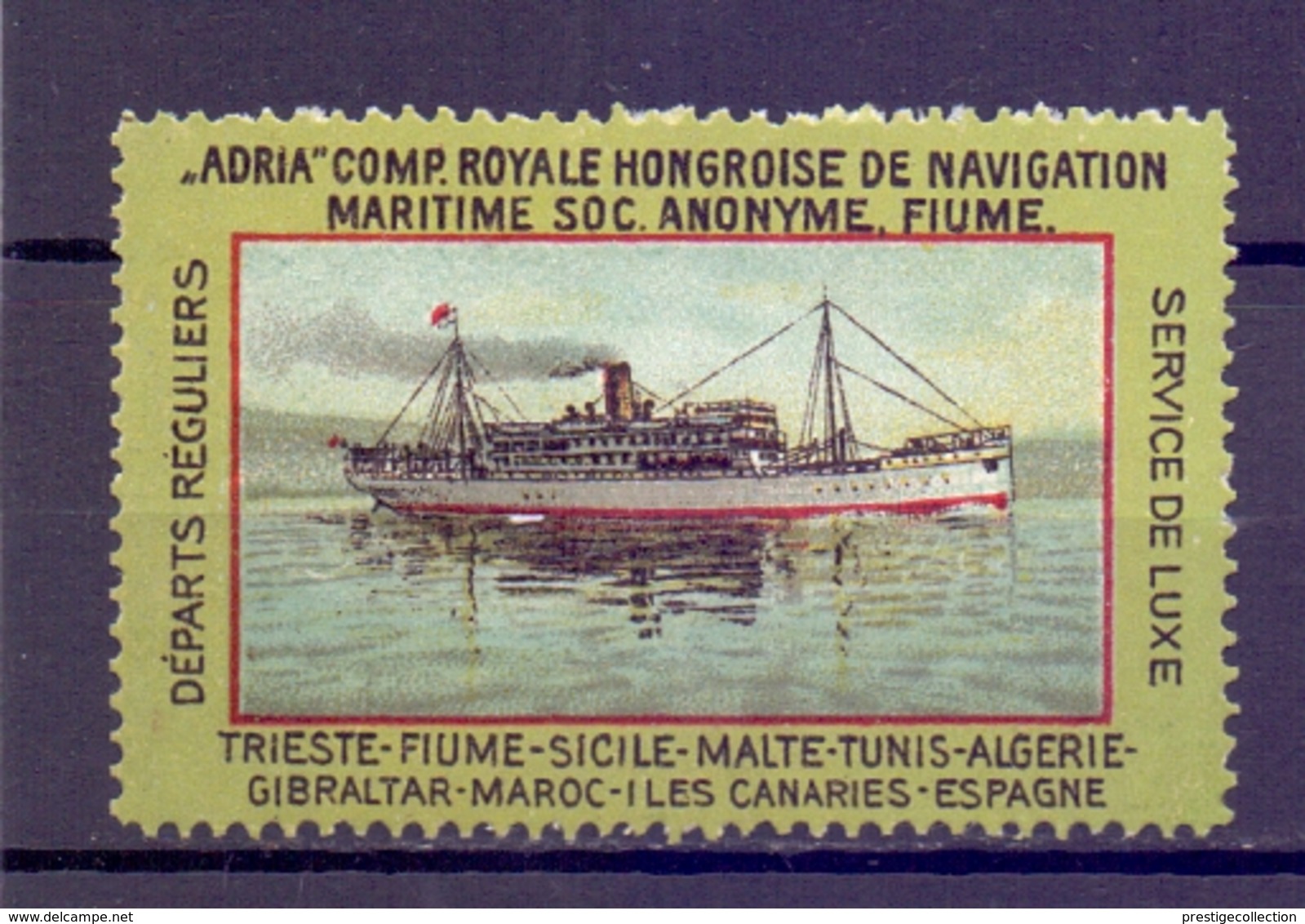 CINDERELLA  ERINOFILO TRIESTE FIUME MALTE TUNISIE ALGERIE  (GIUGN1900B129) - Erinnofilia