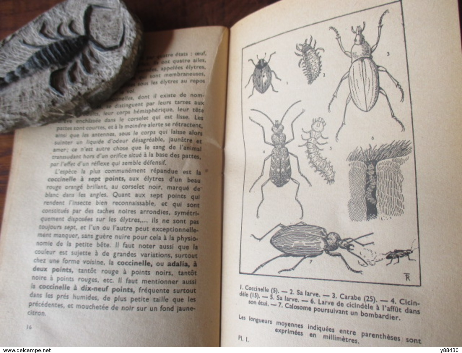 Livre sur LES INSECTES - LES HOTES UTILES DU JARDIN - année 1944 - Collection "Sciences et Voyages" - 136 pages -21 scan