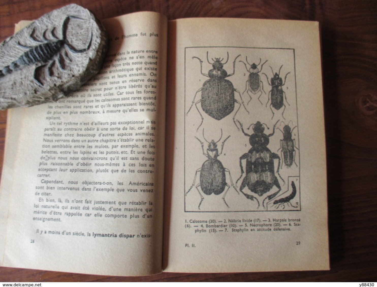 Livre sur LES INSECTES - LES HOTES UTILES DU JARDIN - année 1944 - Collection "Sciences et Voyages" - 136 pages -21 scan