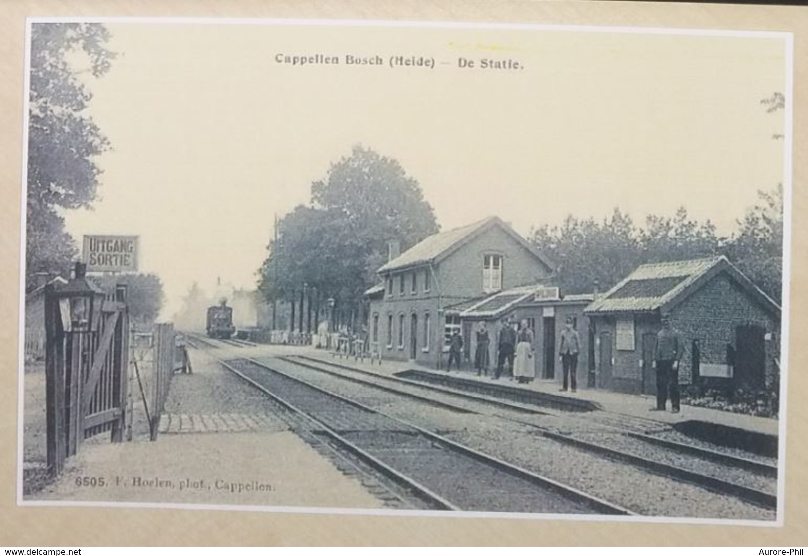 Kapellenbos Cappellen Bosch La Gare Avec Train De Statie Met Trein (heide) (Reproduction - Photo) - Kapellen