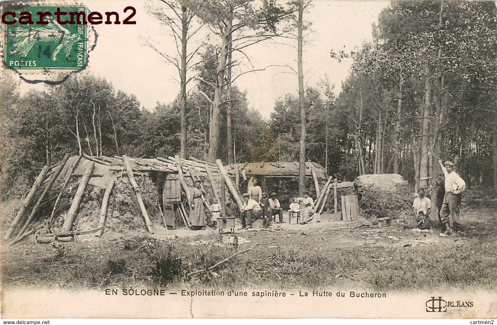 EN SOLOGNE EXPLOITATION D'UNE SAPINIERE LA HUTE DU BUCHERON METIER 45 LOIRET - Autres & Non Classés