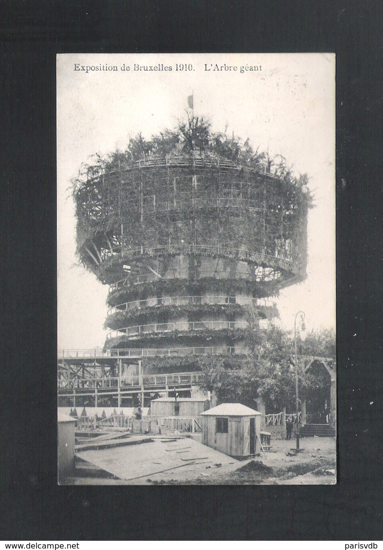 BRUSSEL - EXPOSITION DE BRUXELLES 1910 - L' ARBRE GEANT - 1910 (12.309) - Exposiciones Universales