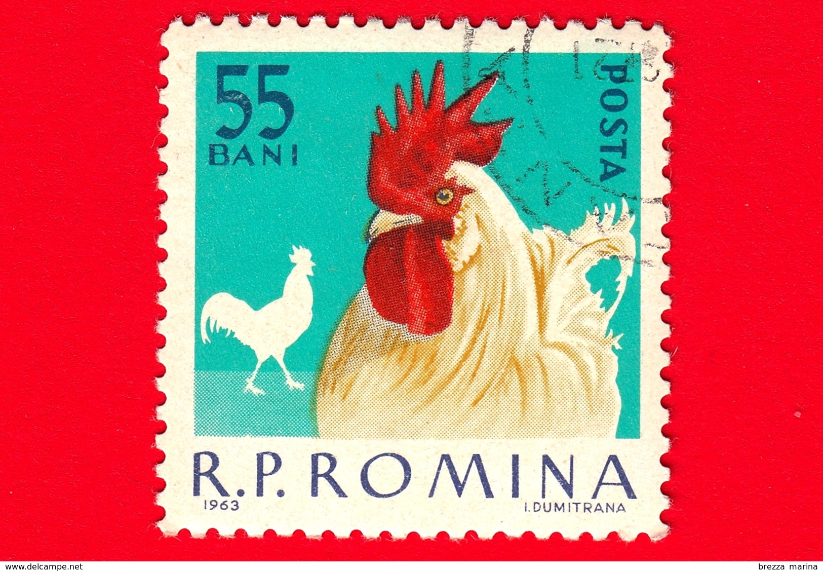 ROMANIA - 1963 - Animali Domestici - Gallo - White Leghorn - 55 Bani - Oblitérés