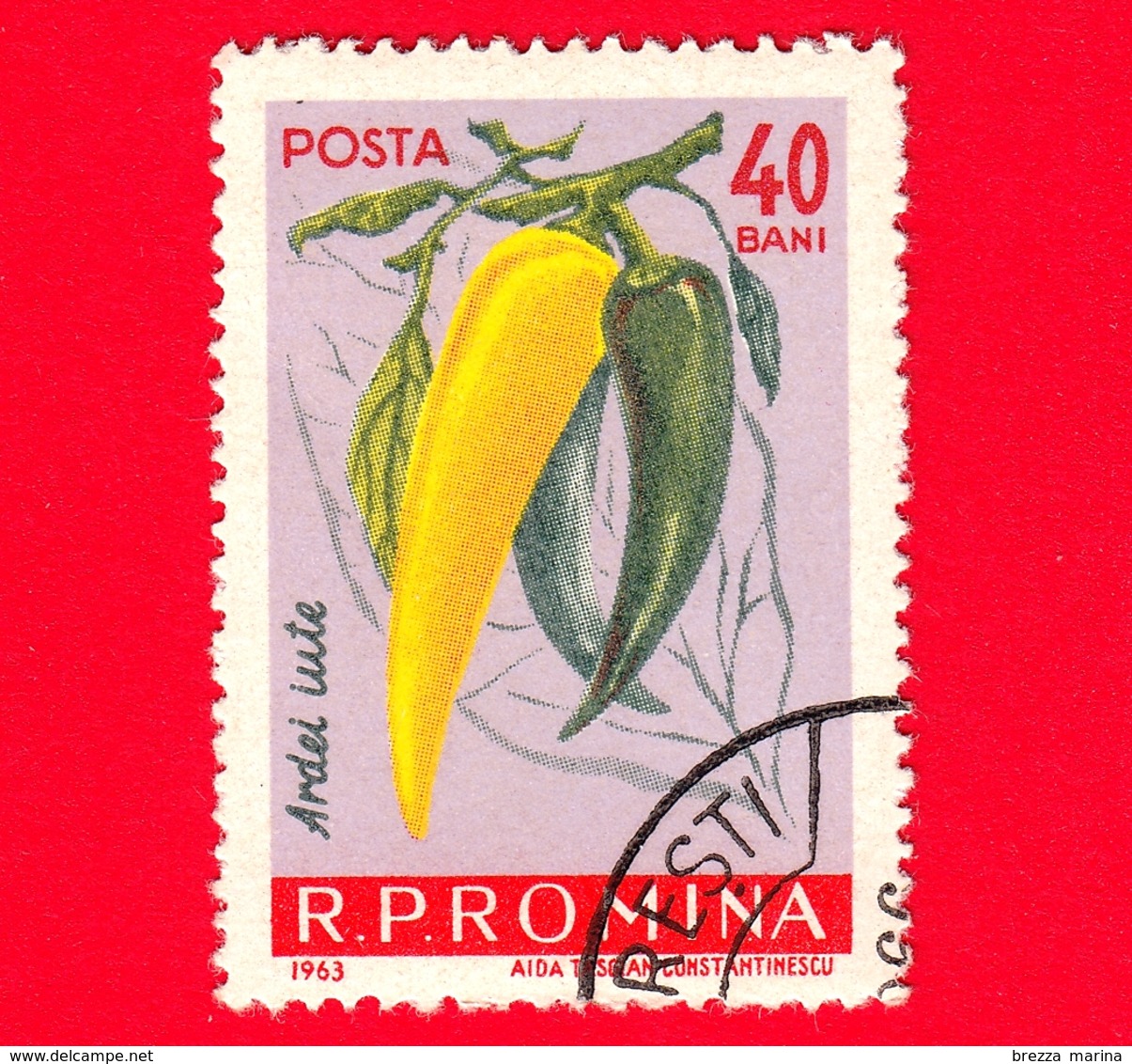 ROMANIA - 1963 - Verdure - Peperoni - Chili Pepper (Capsicum Annuum) - 40 - Usati