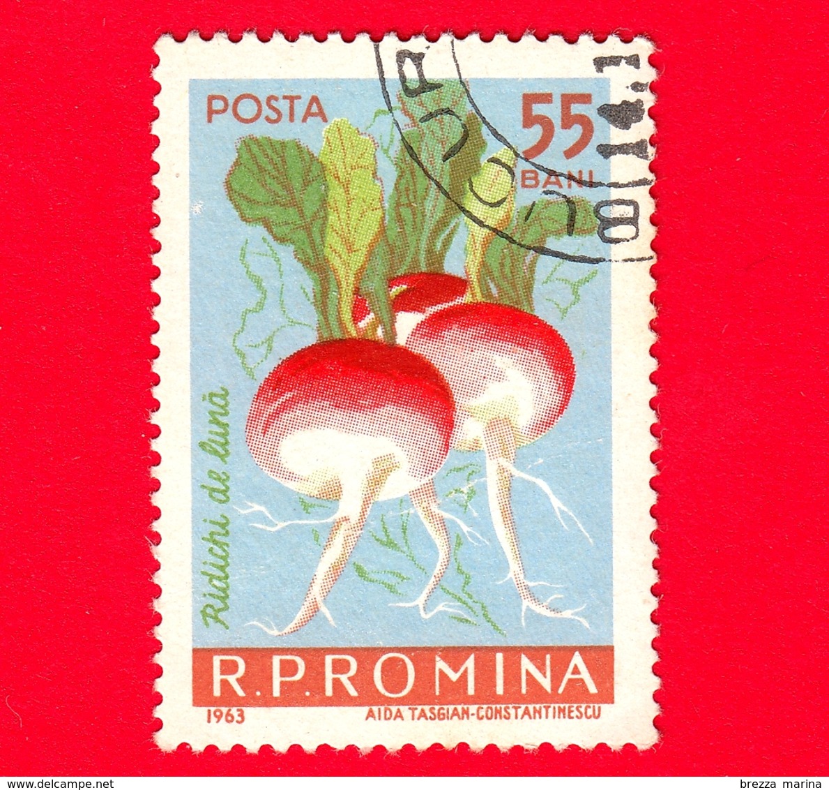 ROMANIA - 1963 - Verdure - Ravanelli - Radish - Radis (Raphanus Sativus Var. Sativus) - 55 - Usati