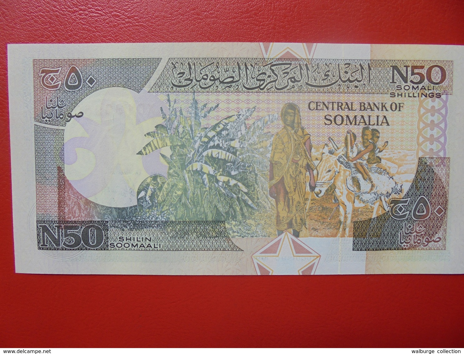 SOMALIE 50 SHILIN 1991 PEU CIRCULER/NEUF - Somalia