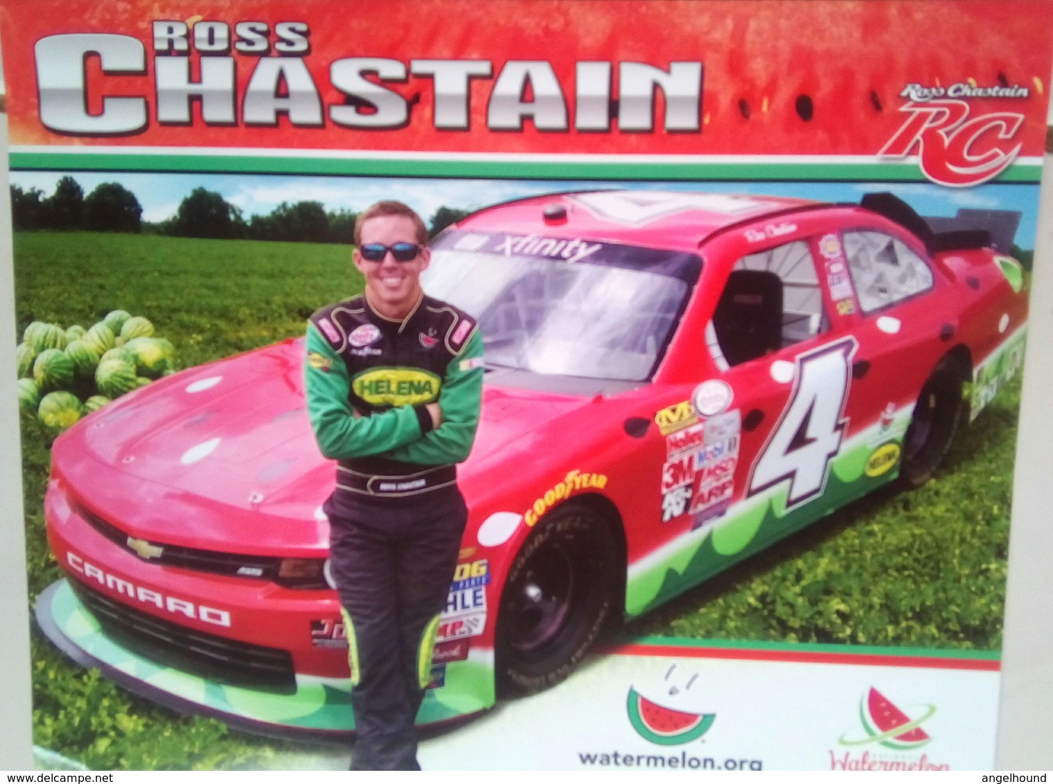 Ross Chastain  NASCAR   Hero Card - Apparel, Souvenirs & Other