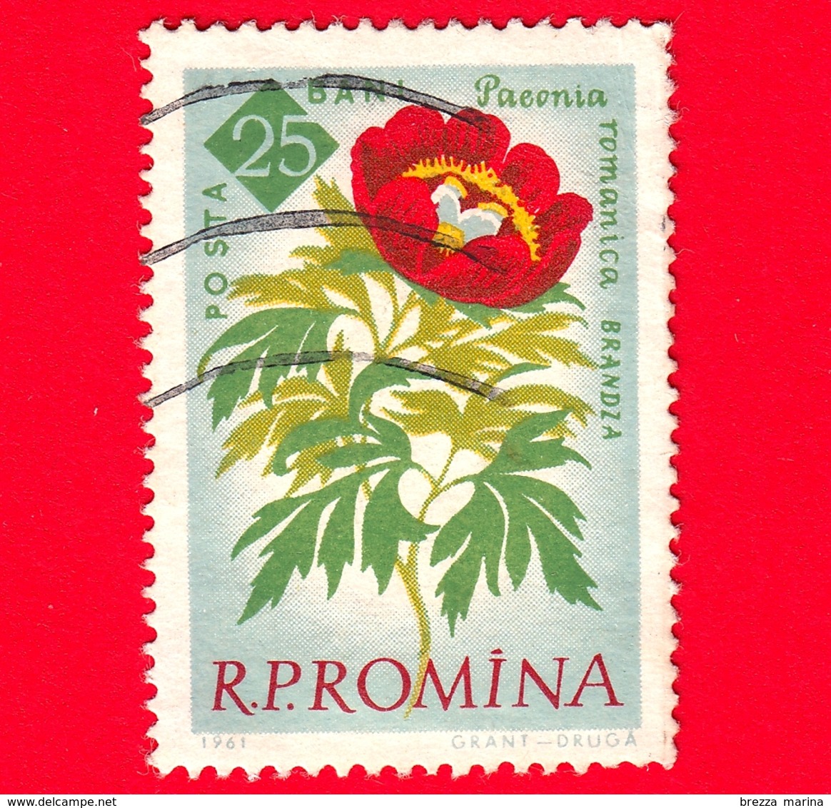 ROMANIA - 1961 - Usato - Fiori - Fleurs - Flowers - Blumen - Paeonia Romantica - 25 - Usati