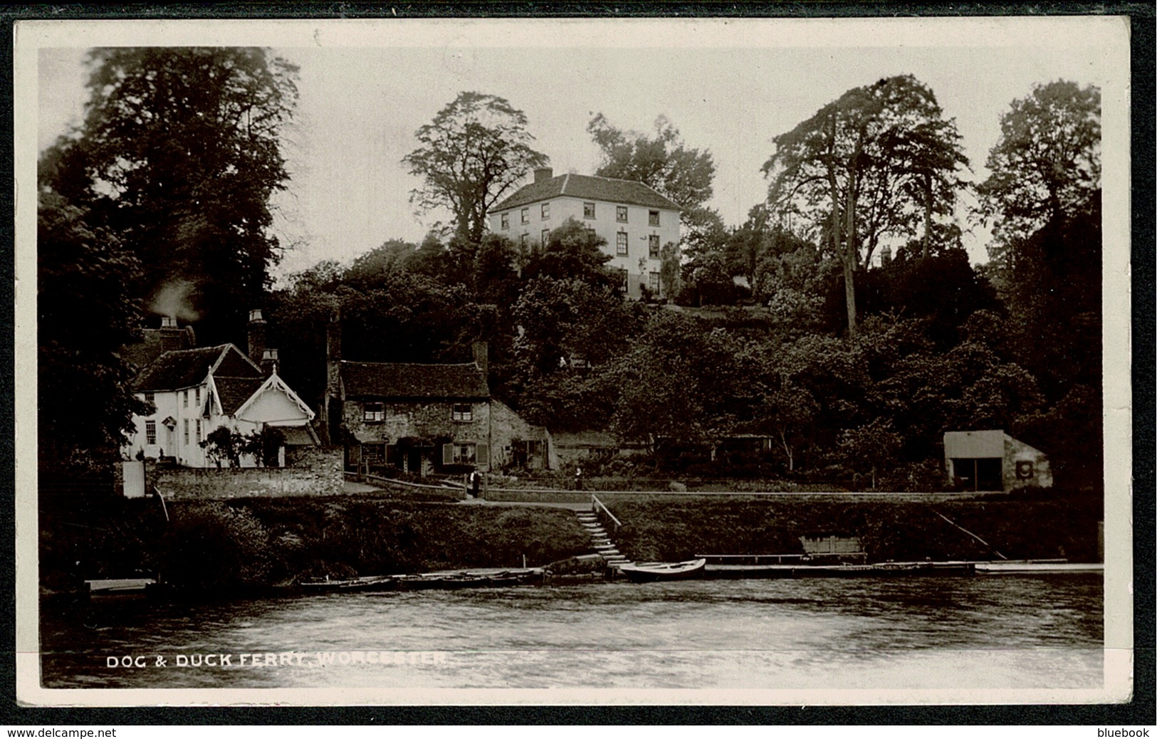 Ref 1296 - 1908 Real Photo Postcard - Dog & Duck Ferry Worcester - Worcestershire - Autres & Non Classés