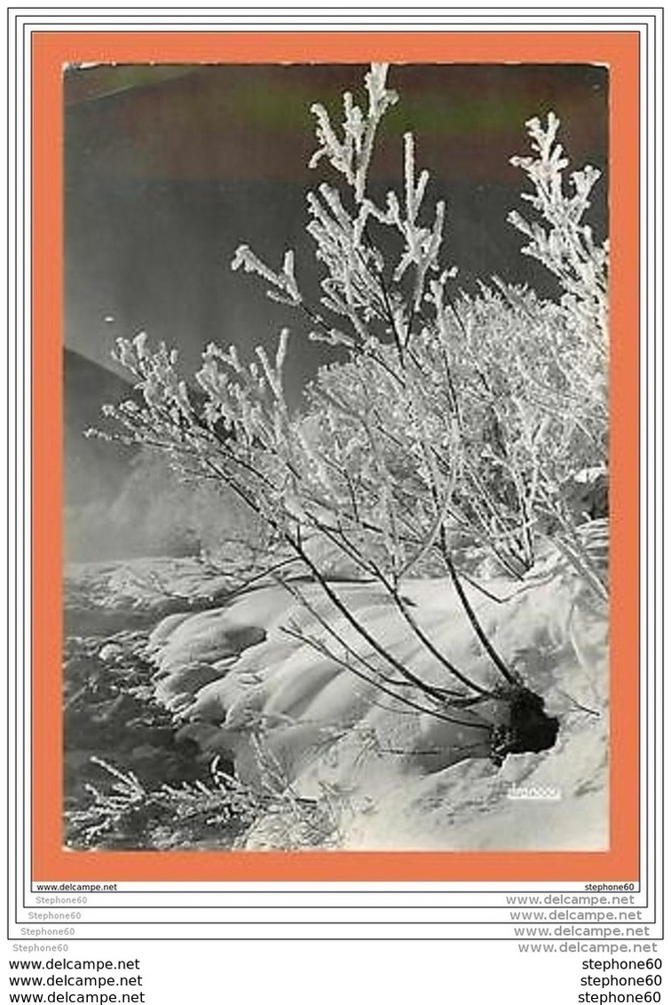 A419 / 425 05 Effet De Givre En Brianconnais ( Briancon ) - Autres & Non Classés