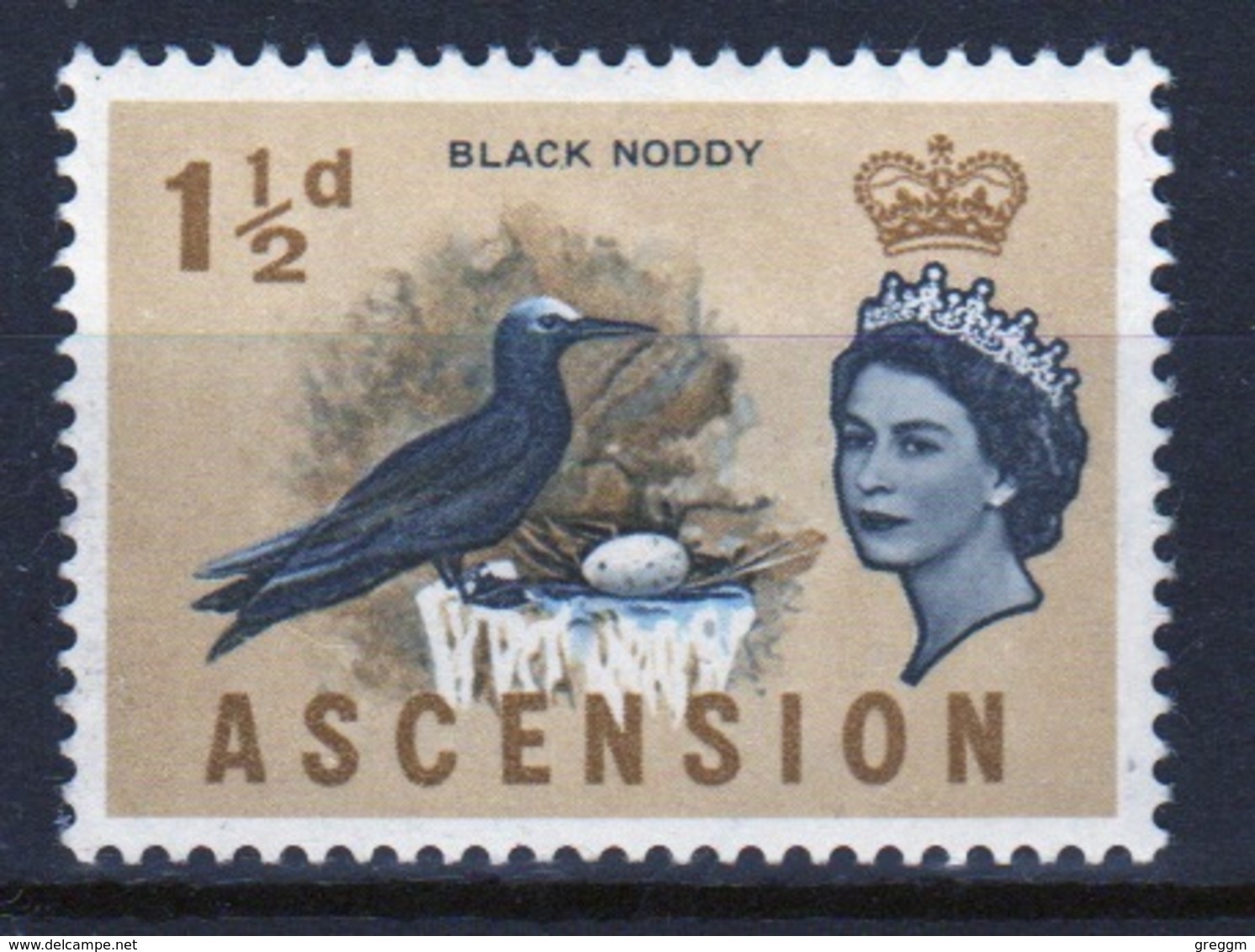 Ascension Queen Elizabeth  Mounted Mint 1½d Stamp From 1963 Definitive Set Of Birds. - Ascension