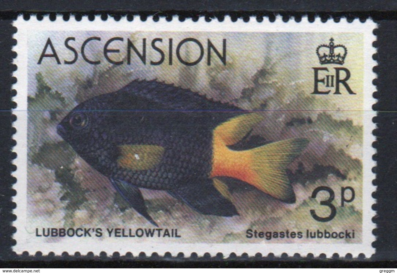 Ascension Queen Elizabeth  Mounted Mint 3p Stamp From 1980 Set On Fish. - Ascension