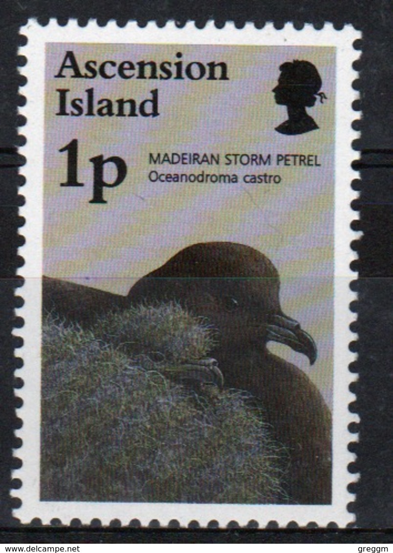 Ascension Queen Elizabeth  Unmounted Mint 1p Stamp From 1996 Set On Birds And Their Young. - Ascension